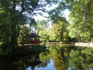 Kámoni arborétum Szombathely